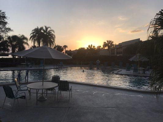 Pelican Cove Condominium Association