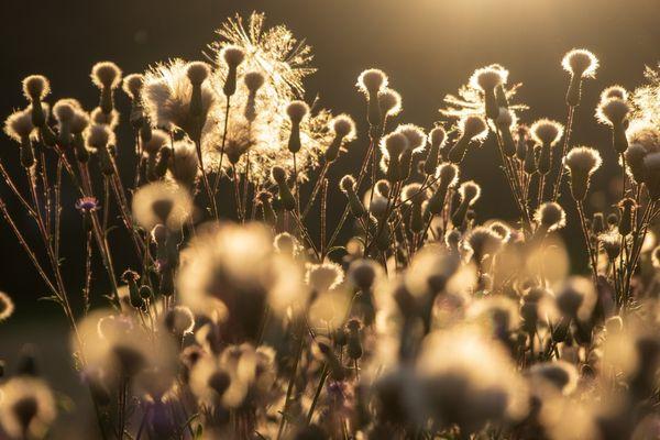 Jessica Professional Cleaner & Organizer