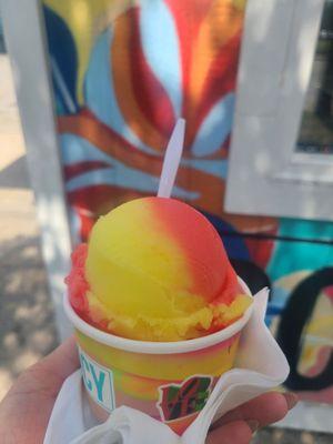 Regular - watermelon + pineapple water ice