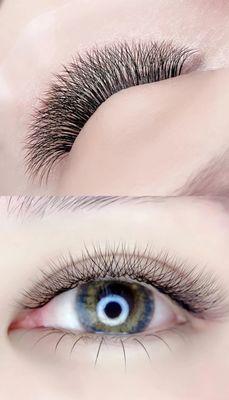 5D clover lash style