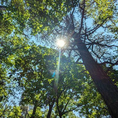 Catoctin Mountain Park