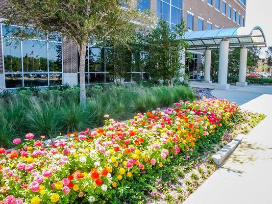 CAM Property Services