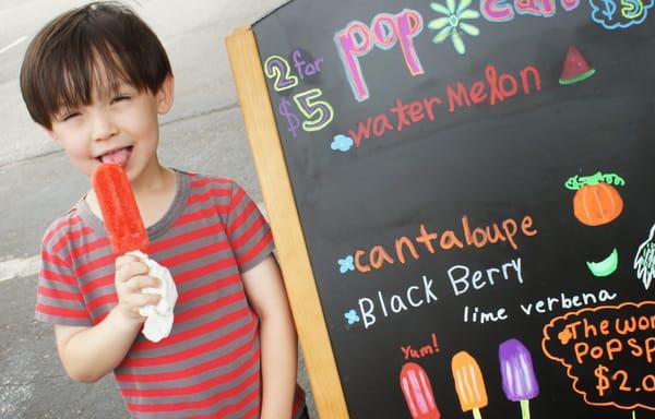 Popcart Handmade Ice Pops