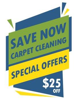 The Lancaster Carpet Cleaning