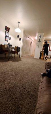 Village Green Apartments