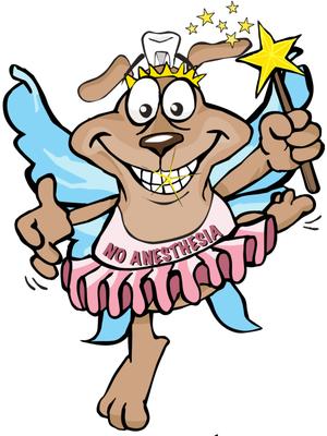 Teeth cleaning without anesthesia