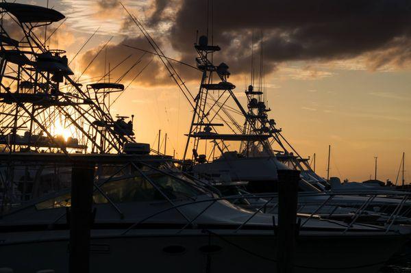 Natural Nine Fishing