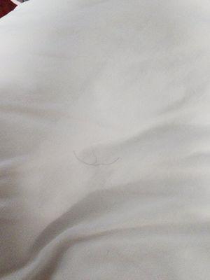 Red Roof Inn West Monroe