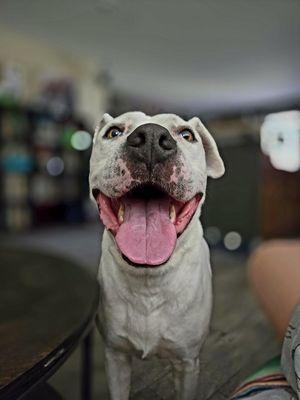 Pet Care With Sabrina