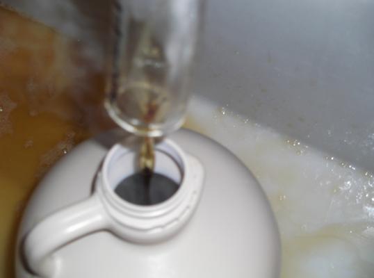 Roxbury Mountain Maple