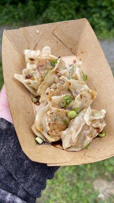 Classic Pork & Chive dumplings
