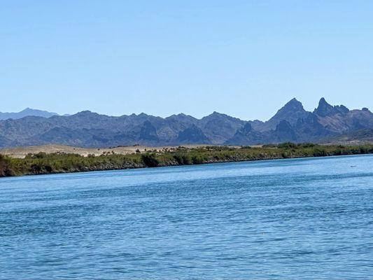 Regina Ann Acevedo - Tri State Realty