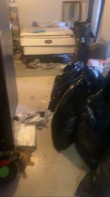 Father and Daughters Cleaning