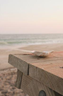 Life’s Little Moments By LW