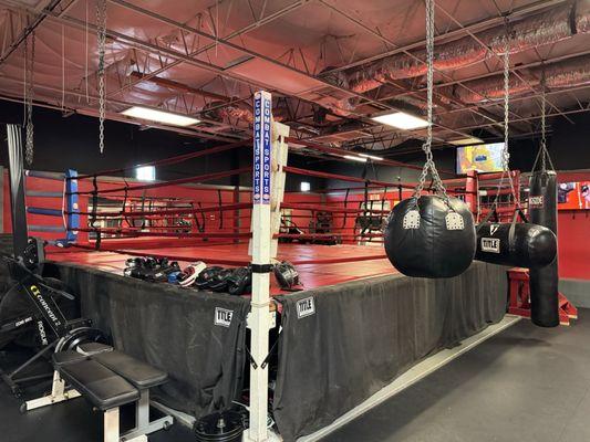Boxing Ring