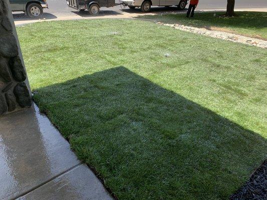 DG Chavez Landscaping