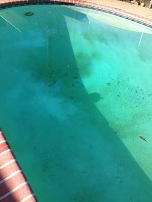 Del Rosa Pool Supply