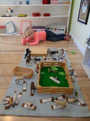 Aldea Montessori School