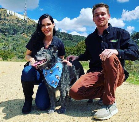 Bark Busters Dog Training - Greater Los Angeles