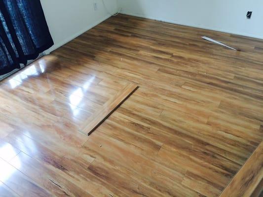 American Mission Olive from Lumber Liquidators