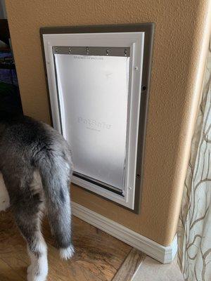 Doggy door install.