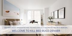 Kill Bed Bugs Denver