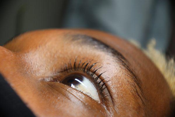 Flutter Lash & Beauty Boutique