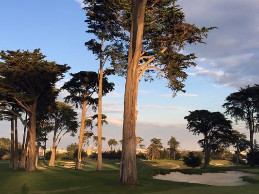 California Golf Club of San Francisco