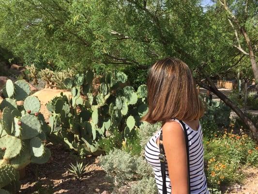 Hair By Frances Monticello