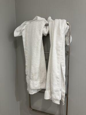 TownePlace Suites Detroit Taylor