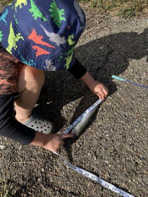 Red River Fish Hatchery