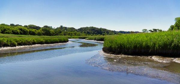 Alley Pond Environmental Center
