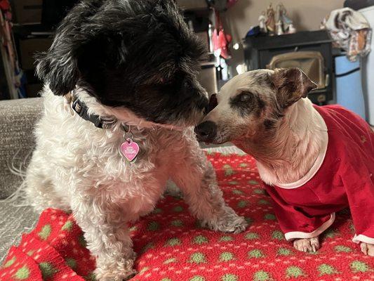 Fall River Veterinary Clinic