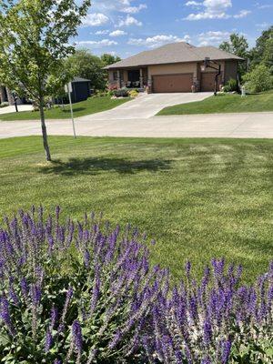 Terradyne Lawn Service