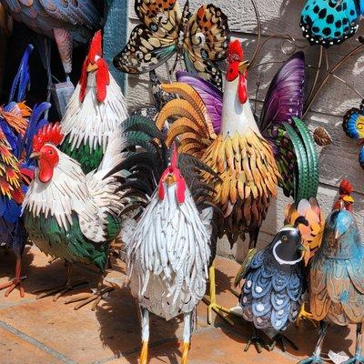 3/25/22: placerville beauties