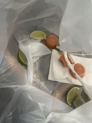 Limes they just threw in the bag