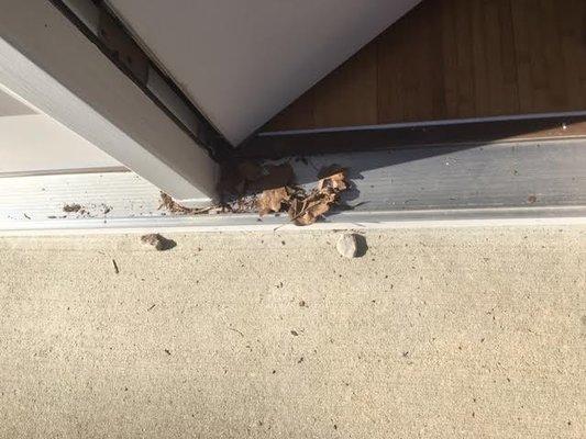 Great Lakes Lawn & Landscapes