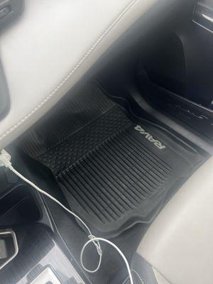 EcoFreedom Detailing