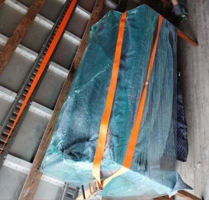 Aquatic And More Movers