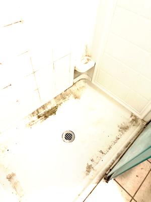 Happy Client - Before pic