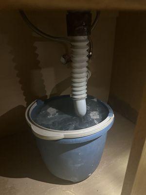 Moldy Fluid under the sink that stinks so bad and my girlfriend and I were getting sick