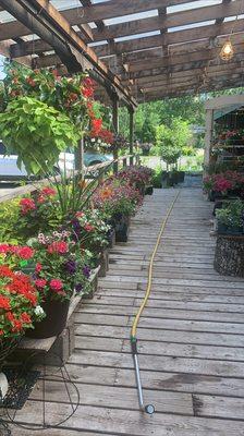 So many to choose from