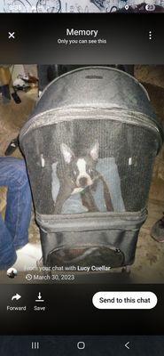 DR Thomas R Ross Veterinary Services