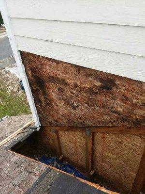 Little T's Remodeling