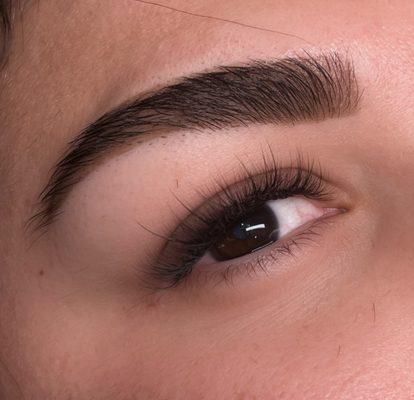 Brow Design + Tint with Hybrid Lash Extensions