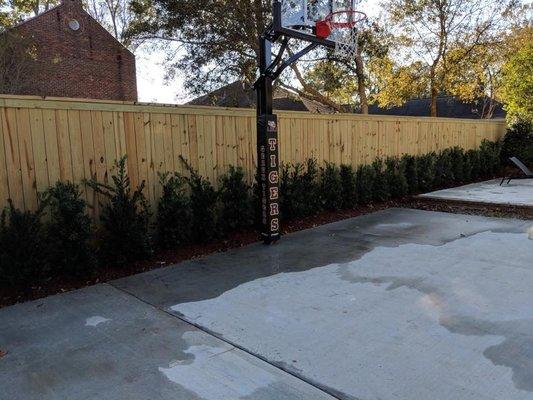 Tiger Fences