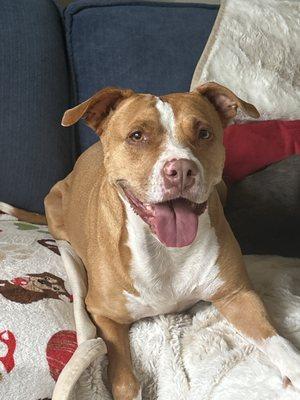 Thompson's Veterinary Center