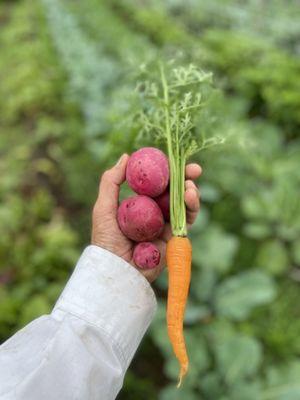 Crops organic and non-gmo.