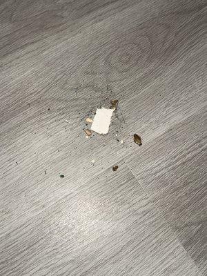 Elara at Paradise Valley