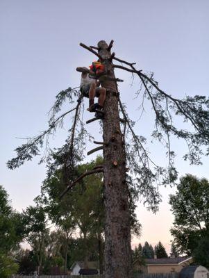 Greatful Gladiator Lawncare